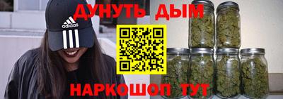 стаф Новокубанск